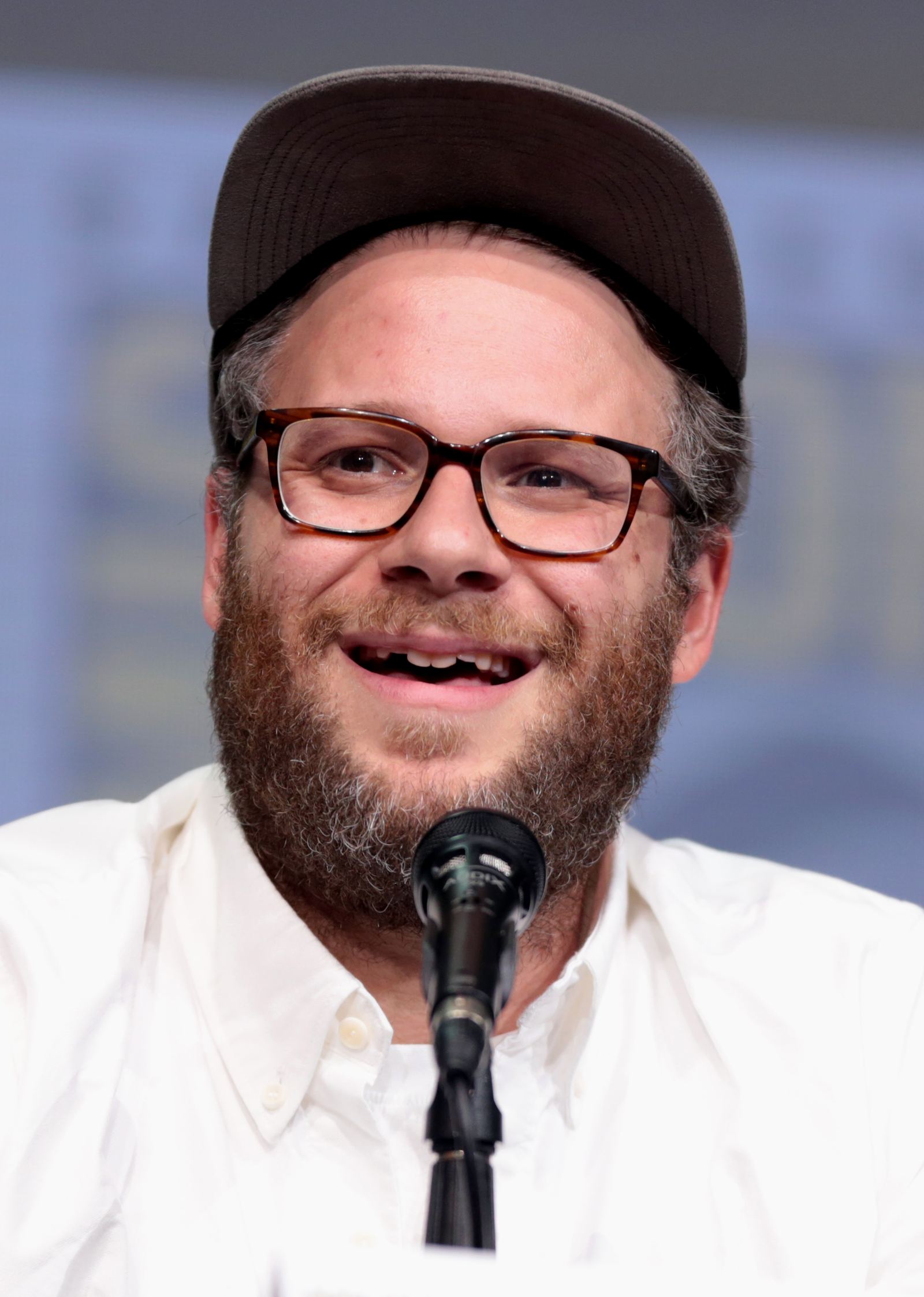 Seth Rogen at San Diego Comic-Con, 2017. Archive event portrait, not The Interview premiere or a film still. Photo: